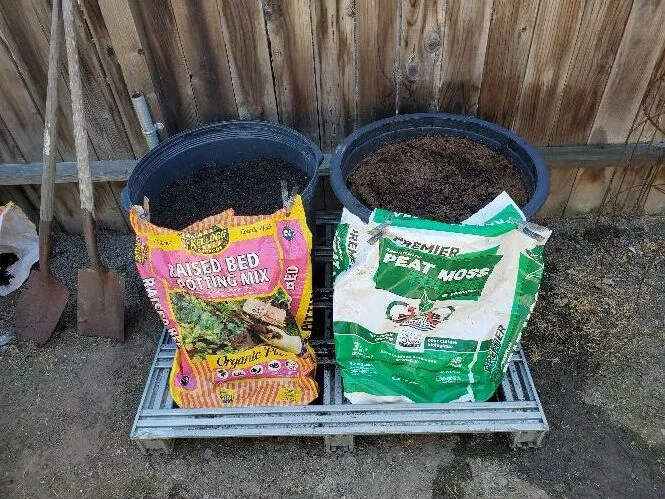 Sphagnum peat moss bale